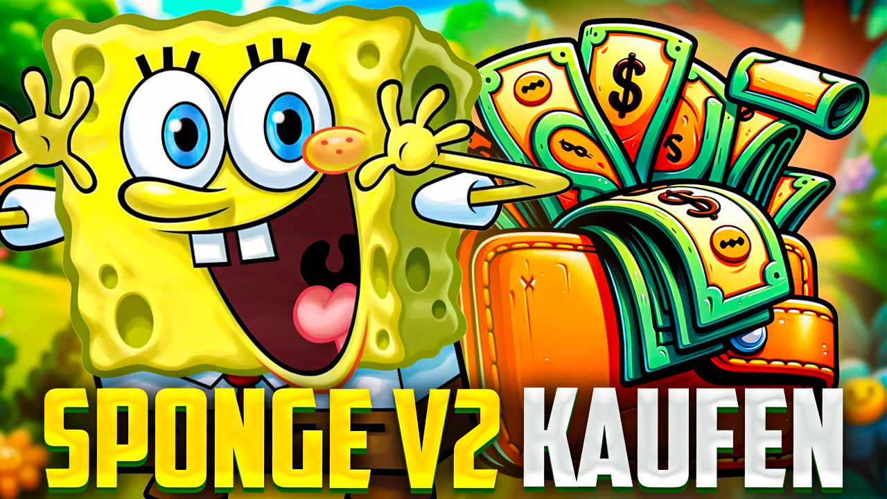 Sponge V2 kaufen